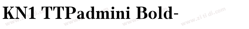 KN1 TTPadmini Bold字体转换